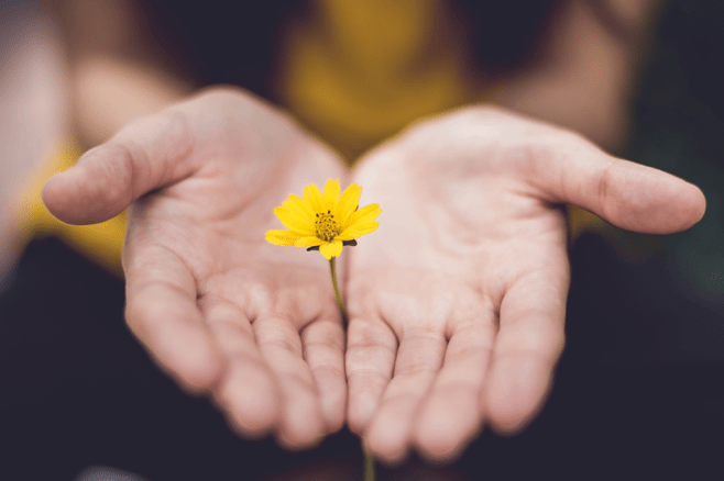 رسانه تاب آوری و مرجع آموزش تاب آوری کشور