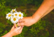 اهمیت تاب‌آوری