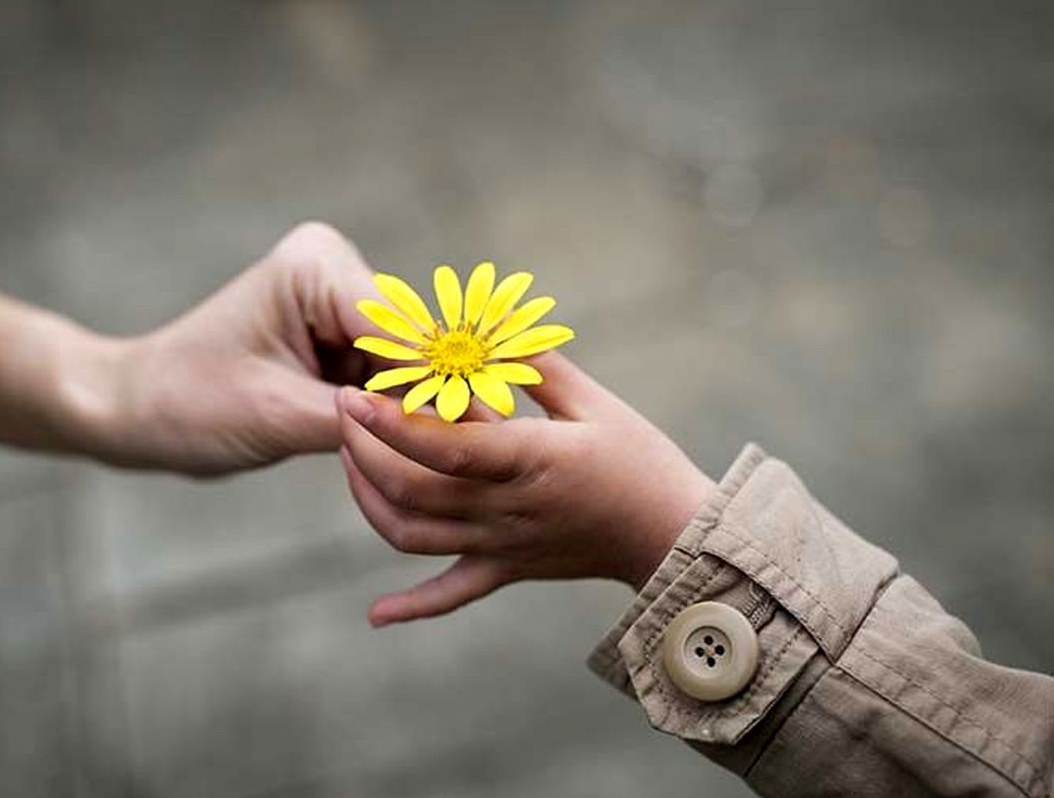 مروری بر معنا و مفهوم شعر تصور کن