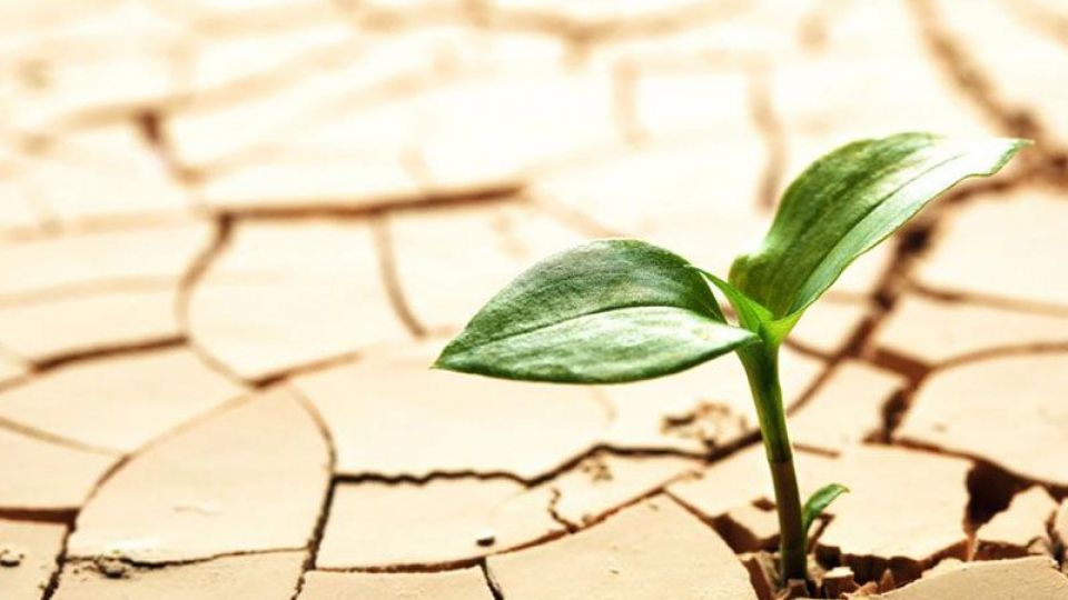 چرا تاب آوری برای زنان مهم است؟