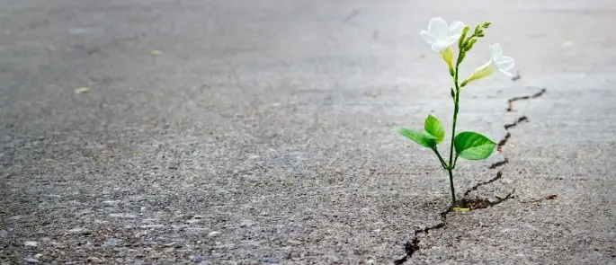 43 مثال تاب آوری