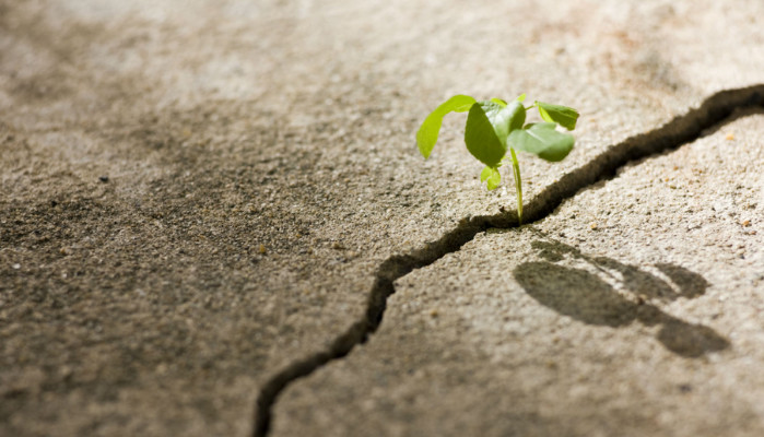 مداخلات روان‌شناختی برای تقویت تاب‌آوری دانشجویان مراقبت‌های بهداشتی