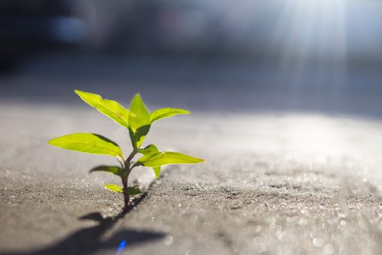 سه راهبرد اساسی جهت تاب آوری در شرایط دشوار