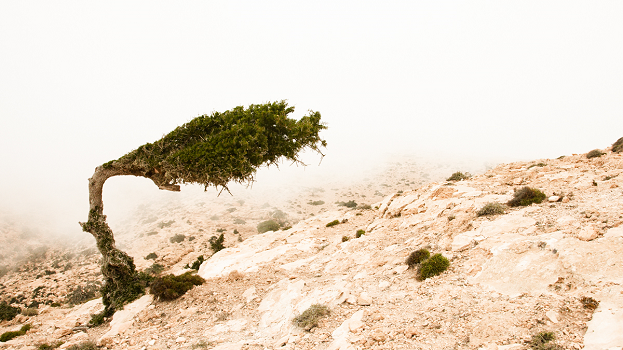 تاب آوری به چه معناست و چرا اهمیت دارد؟