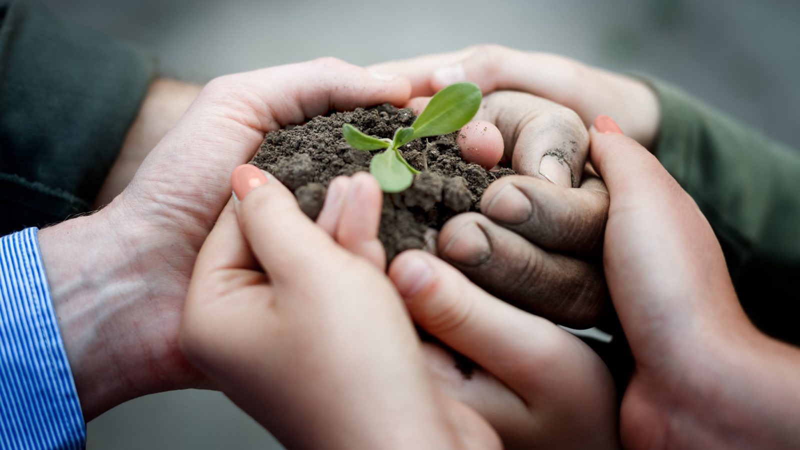 ایجاد تاب آوری خانواده