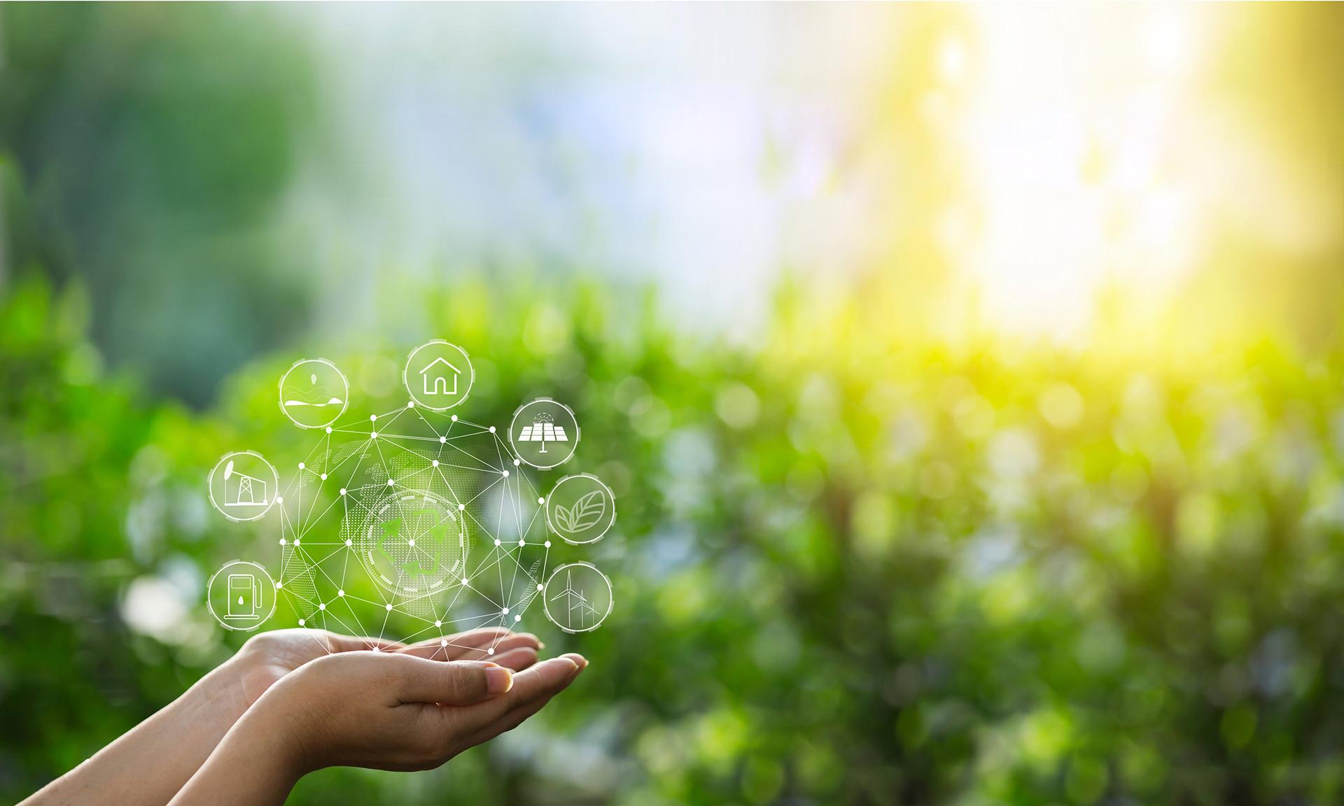 دیدگاه های اکوسیستمی و توسعه ای تاب آوری