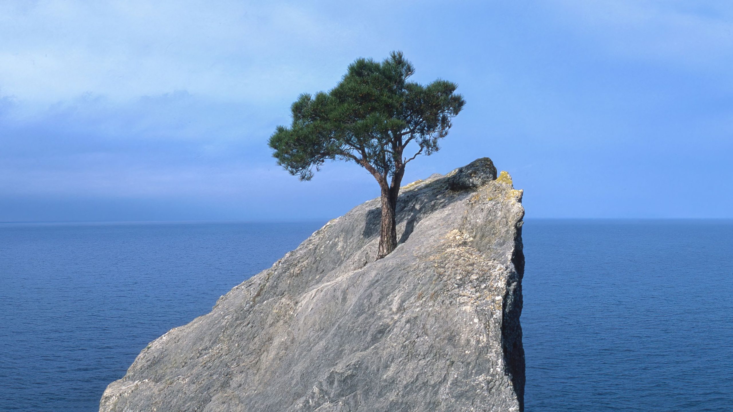 منابع، عوامل و برچسب های تاب آوری کودکان
