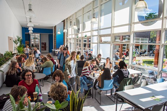 معرفی یک پروژه ایجاد تاب آوری در دانشگاه برایتون