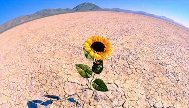 تاب آوری زنان: تعاریف و مؤلفه‌های کلیدی آن