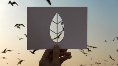 تاب آوری زیست محیطی: تعاریف و مؤلفه های آن