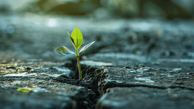 میزگرد تاب آوری: نگاهی به چالشها و راهکارها