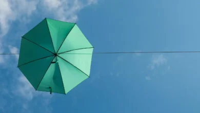 تأثیر آموزش تاب آوری بر زنان سرپرست خانوار