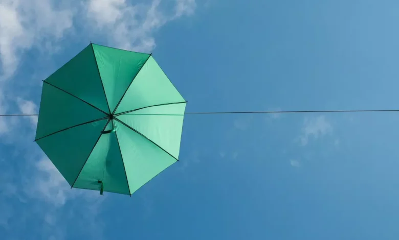 تأثیر آموزش تاب‌ آوری بر زنان سرپرست خانوار