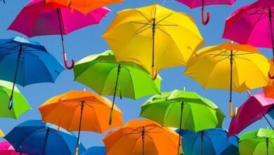 همکاری خلاقانه میان خانه تاب آوری ایرانیان و رسانه تاب آوری