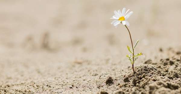 مدل‌های نظری تاب‌آوری