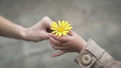 مسیر تاب‌آوری: از خانواده تا جامعه