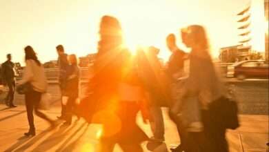 آموزش و پژوهش در حوزه تاب‌آوری رسانه‌ای