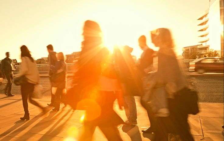 آموزش و پژوهش در حوزه تاب‌آوری رسانه‌ای