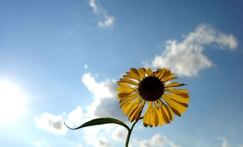 بنیانگذار رسانه تاب آوری ایران: تاب آوری صبوری نیست اما صبر در بطن فرایند تاب آوری نهفته است