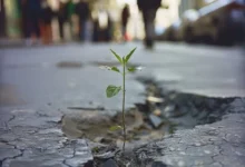 تاب‌آوری در بحران ویژه مددکاران اجتماعی