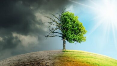 تابآوری در برابر تغییرات اقلیمی