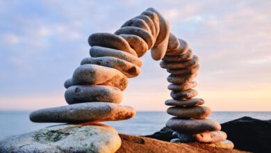 تابآوری ساختاری در سازمانهای رفاهی