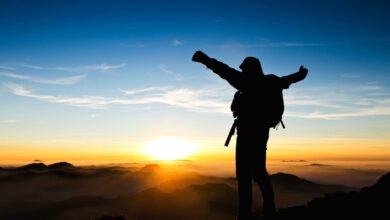 تأثیر الگوهای دلبستگی بر تابآوری در بزرگسالی