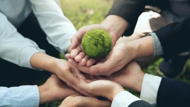 نقش حیاتی آموزش و آگاهیبخشی در تقویت تابآوری اقلیمی