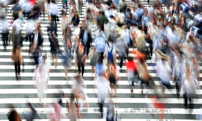 تاب‌آوری: کلید بقا و رشد در دنیای پرچالش