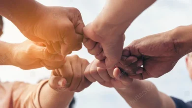 آموزش تاب‌آوری در جهان