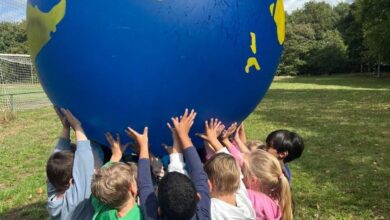 آموزش، پژوهش و توسعه تاب‌آوری