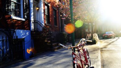 تاب آوری: یک تدبیر، یک آغاز بی انتهاست