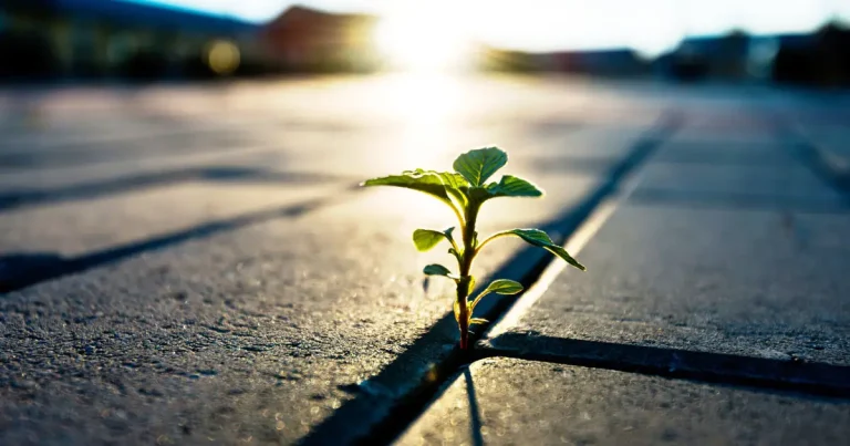 مدل‌سازی طرحواره‌های منعطف: زیربنای نوین تاب‌آوری روان‌شناختی