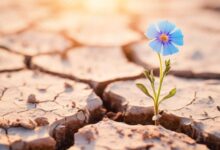 آموزش تاب‌آوری برای نابینایان