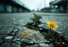 تبیین جامع و چندبعدی تاب‌آوری