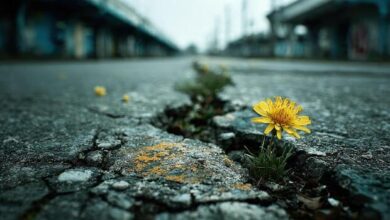 تبیین جامع و چندبعدی تابآوری