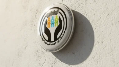 مددکاری اجتماعی ایرانیان