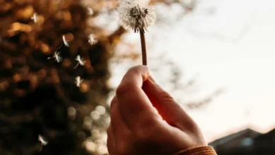 اثربخشی آموزش‌های تاب‌آوری بر مدیریت استرس 