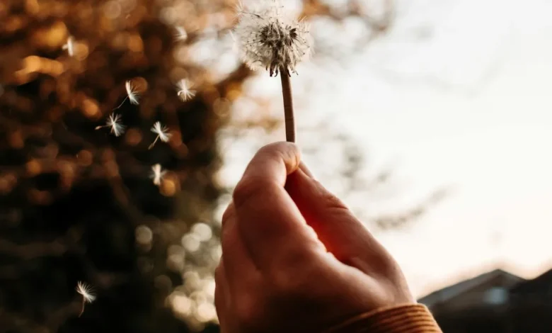 اثربخشی آموزش‌های تاب‌آوری بر مدیریت استرس 