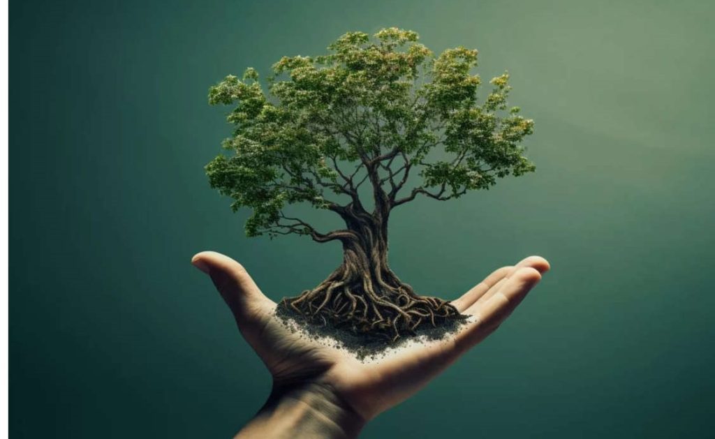 مسیر تاب‌آوری و رویش دوباره