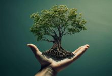 مسیر تاب‌آوری و رویش دوباره