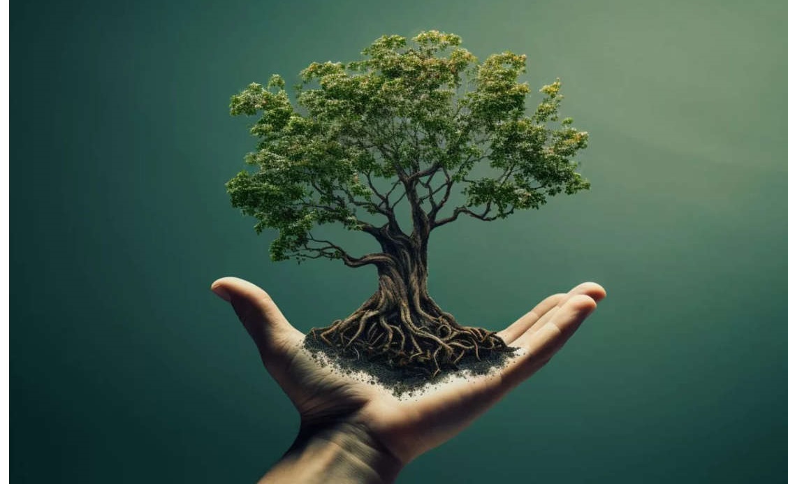 مسیر تاب‌آوری و رویش دوباره